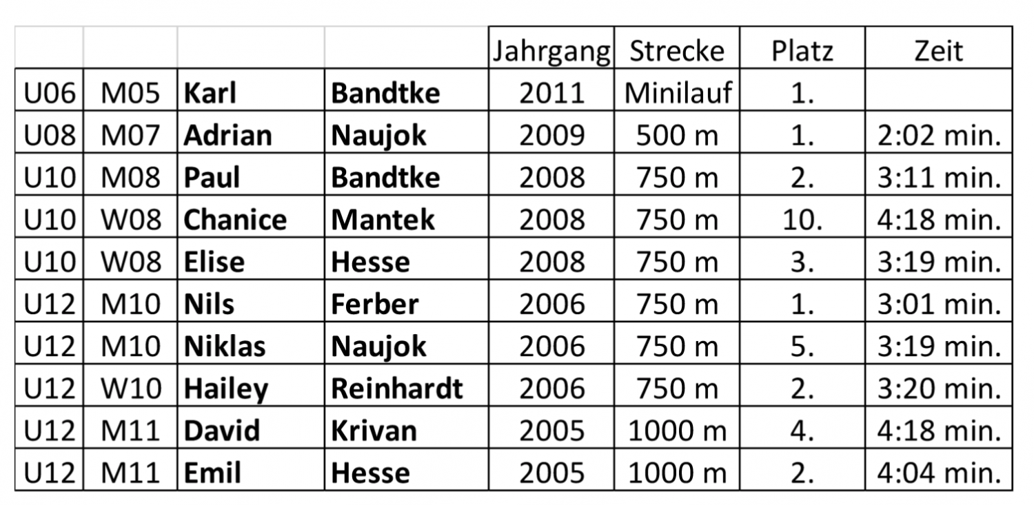 Ergebnisse Köstritzer Parklauf